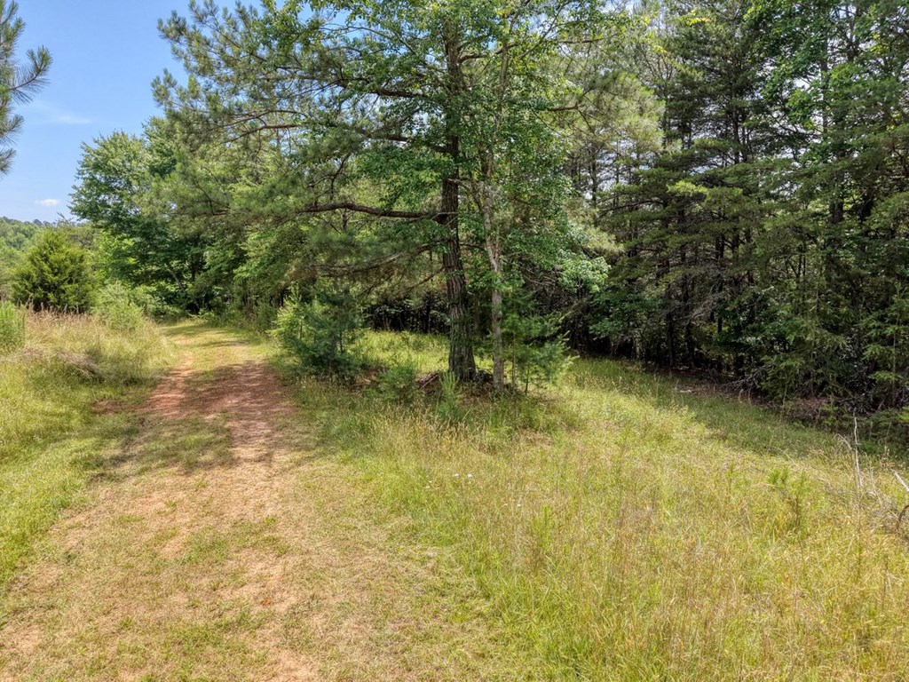 Lot 13 Porter Place