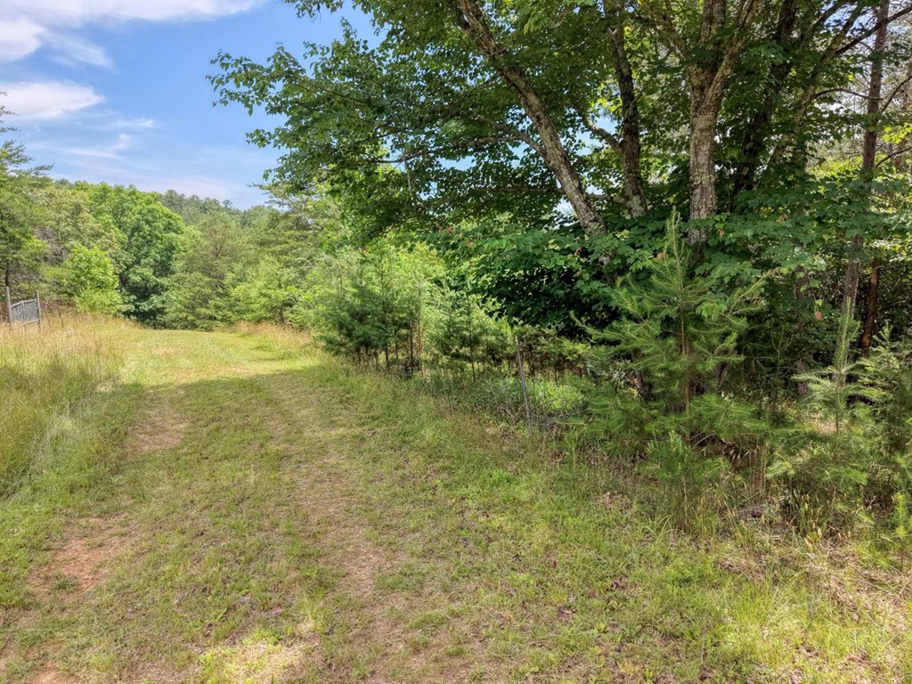 Lot 13 Porter Place