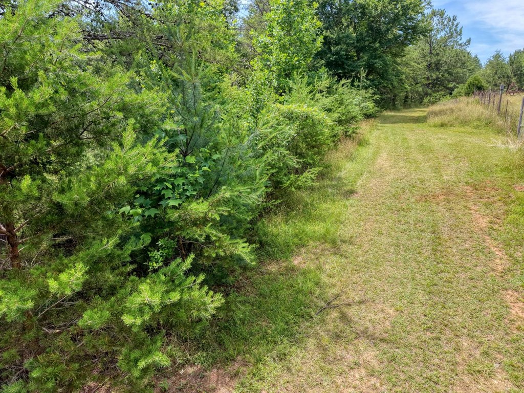 Lot 13 Porter Place