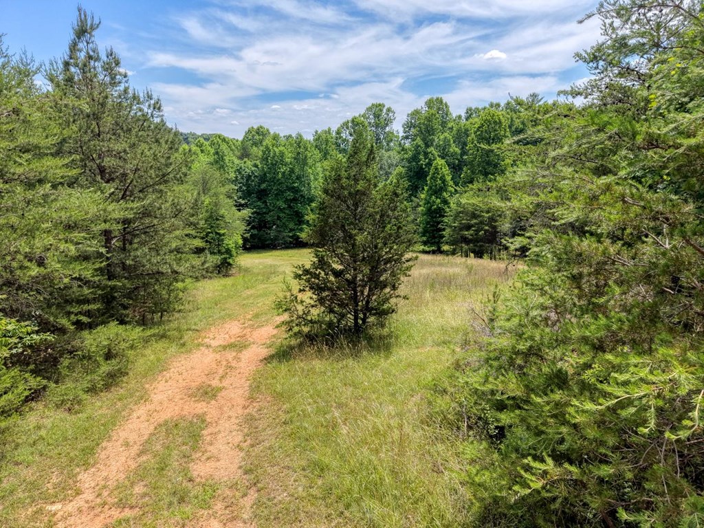 Lot 13 Porter Place