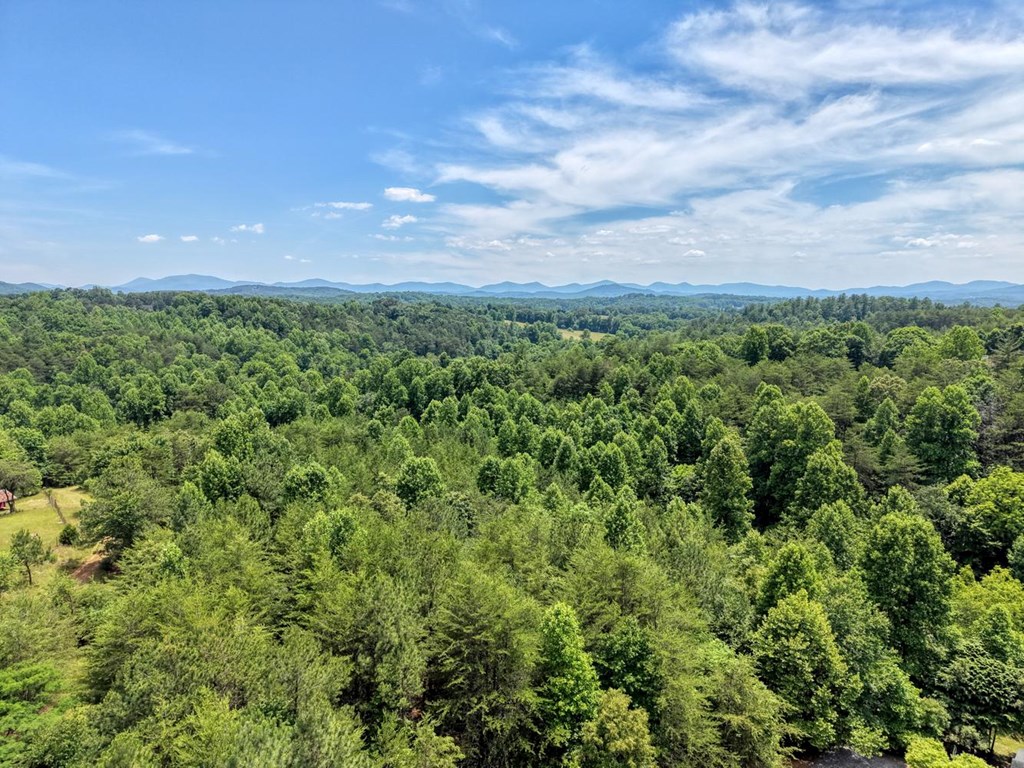 Lot 13 Porter Place