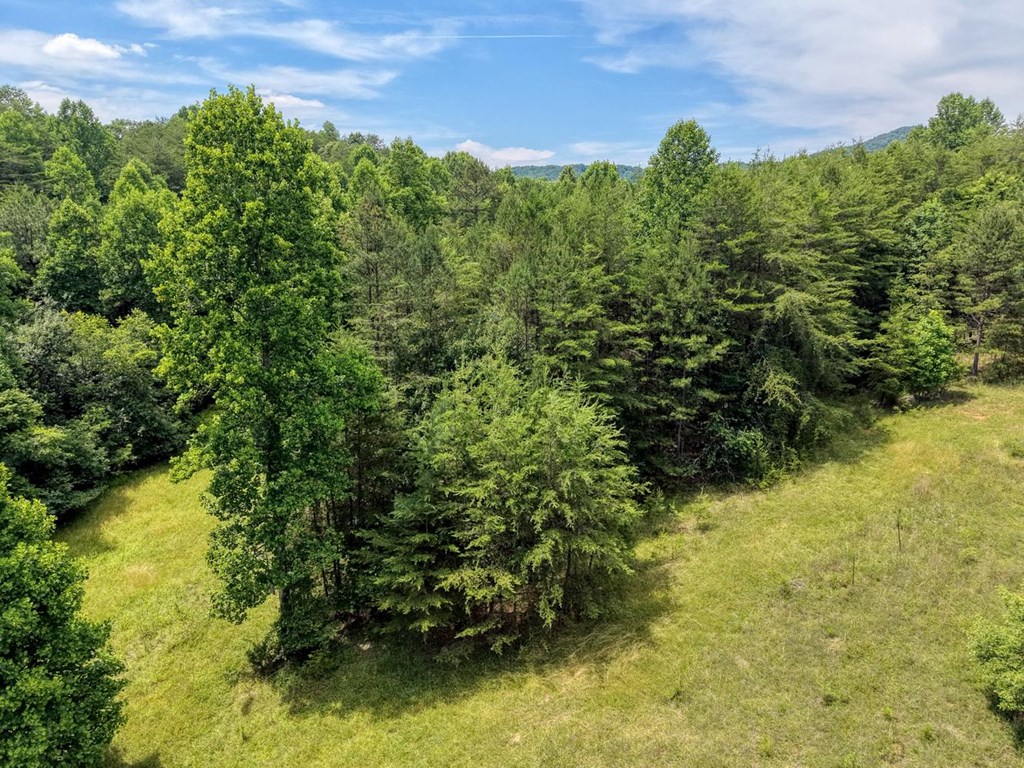 Lot 13 Porter Place