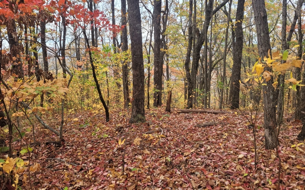 43.91 Old Burnt Mountain Road