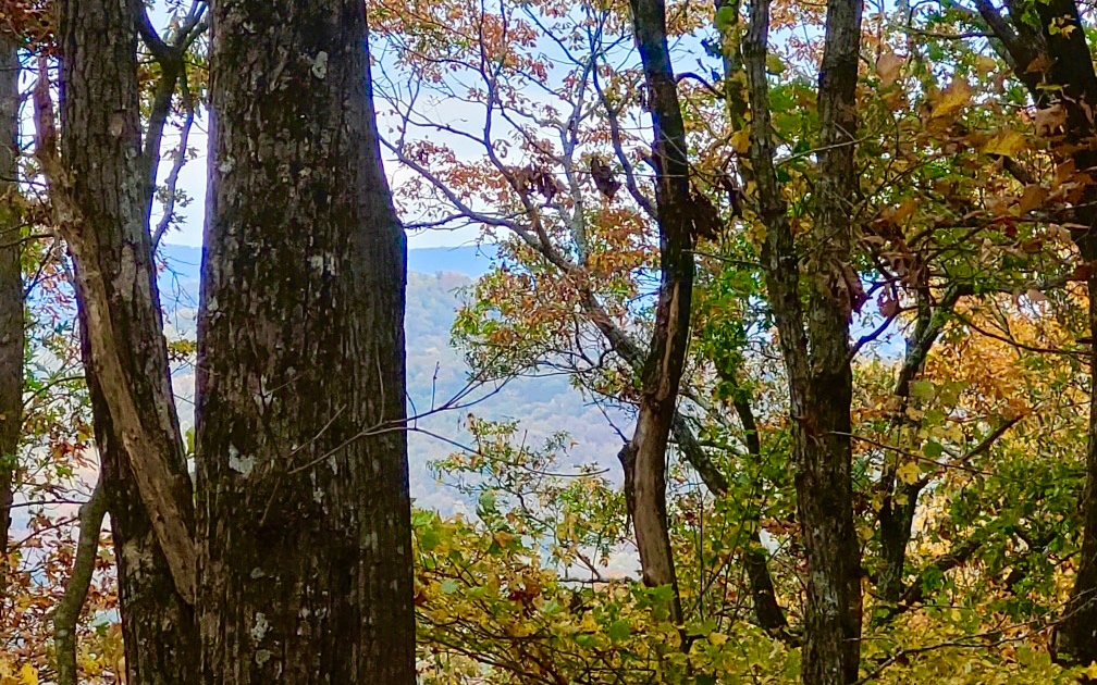 43.91 Old Burnt Mountain Road