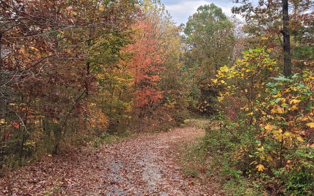 43.91 Old Burnt Mountain Road