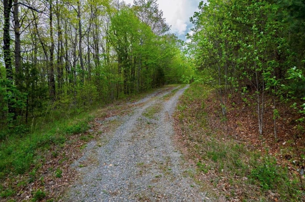 43.91 Old Burnt Mountain Road