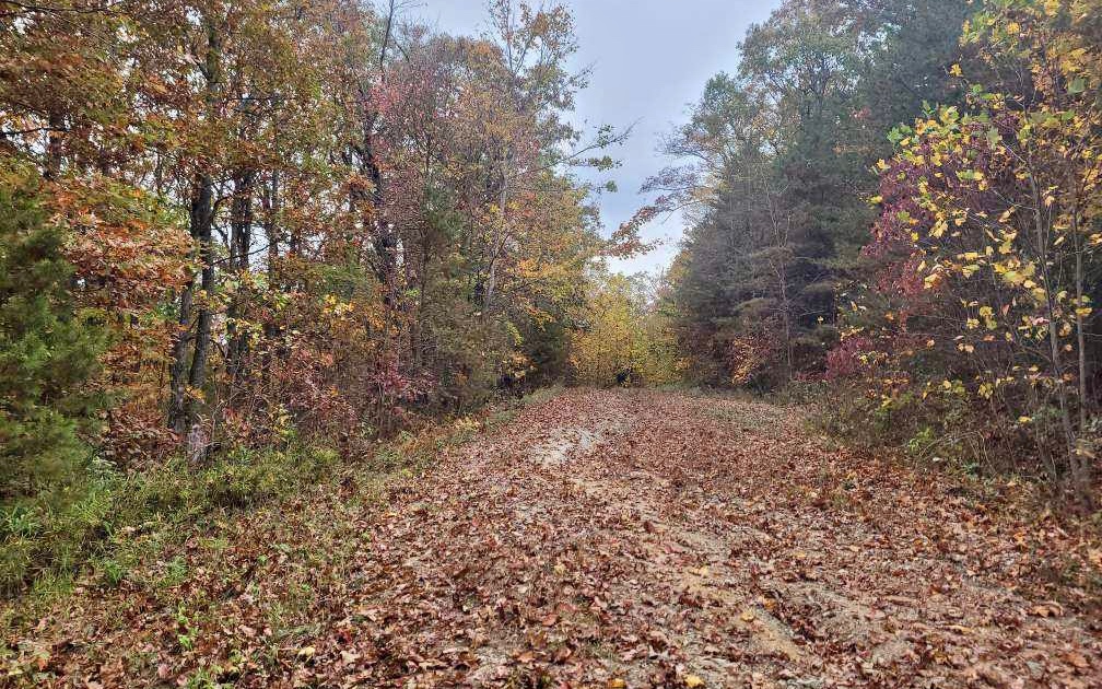 43.91 Old Burnt Mountain Road