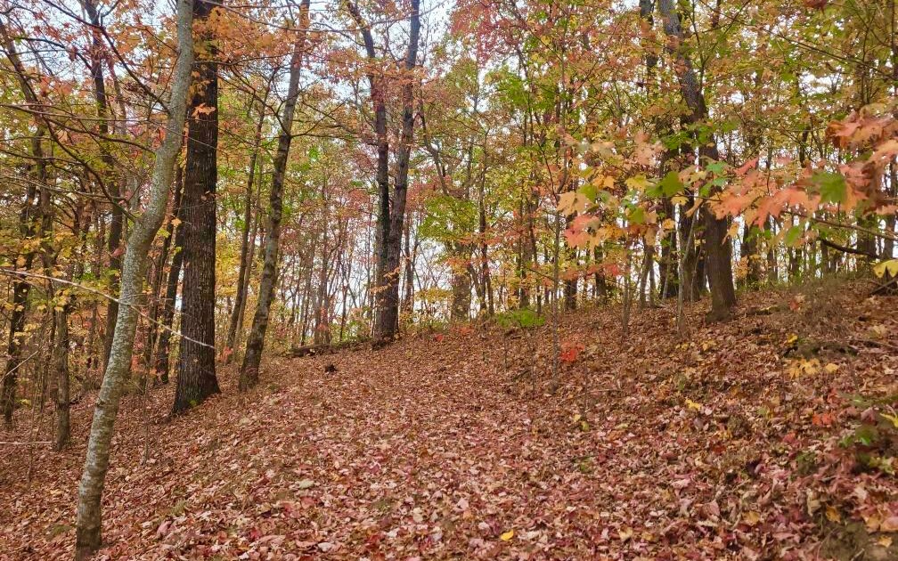 43.91 Old Burnt Mountain Road