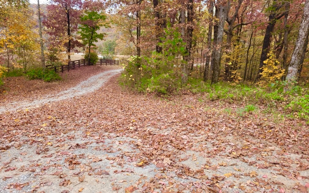 43.91 Old Burnt Mountain Road