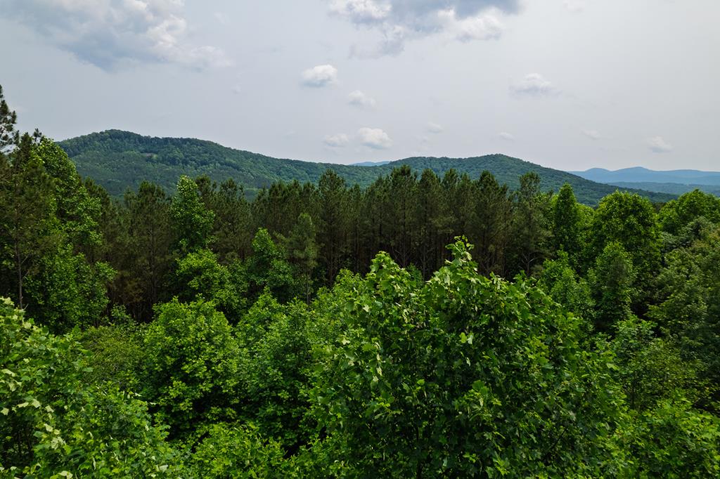 239 Ridge Top Drive