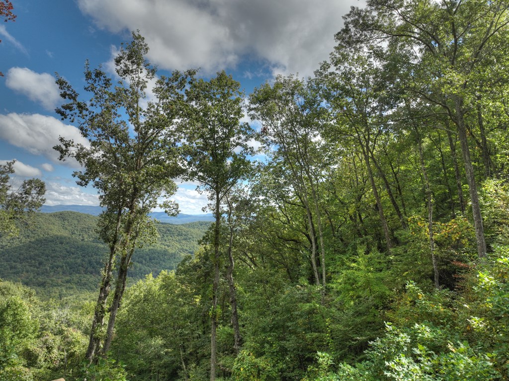 Lot 25 Utana Bluffs Trail