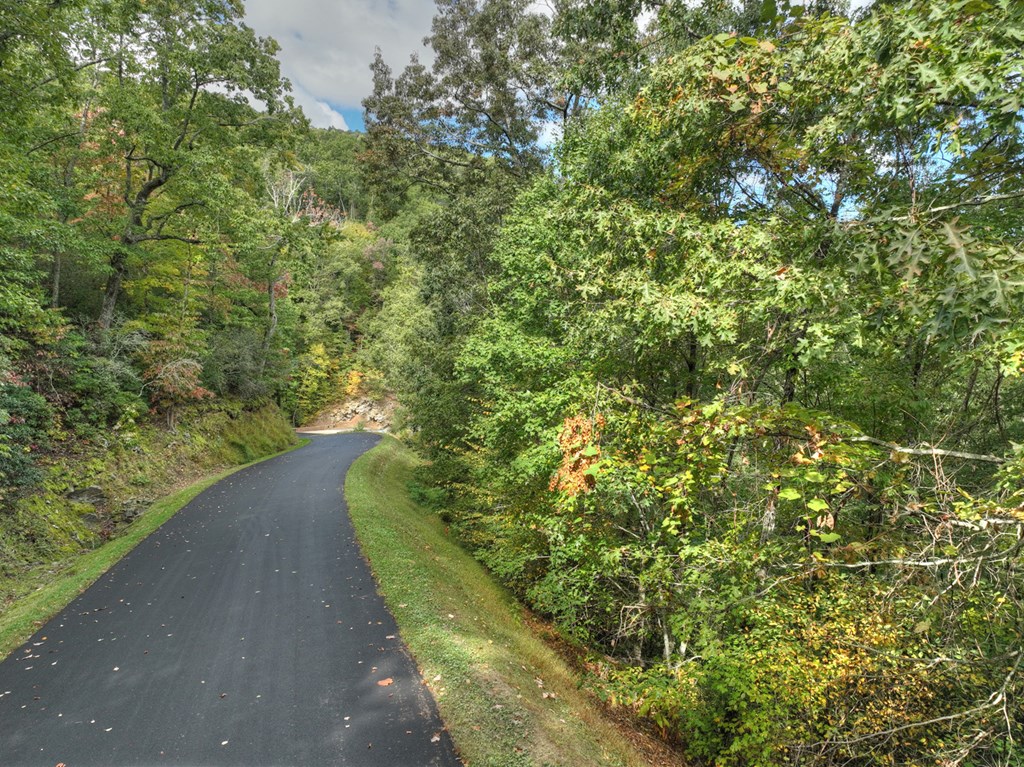 Lot 25 Utana Bluffs Trail