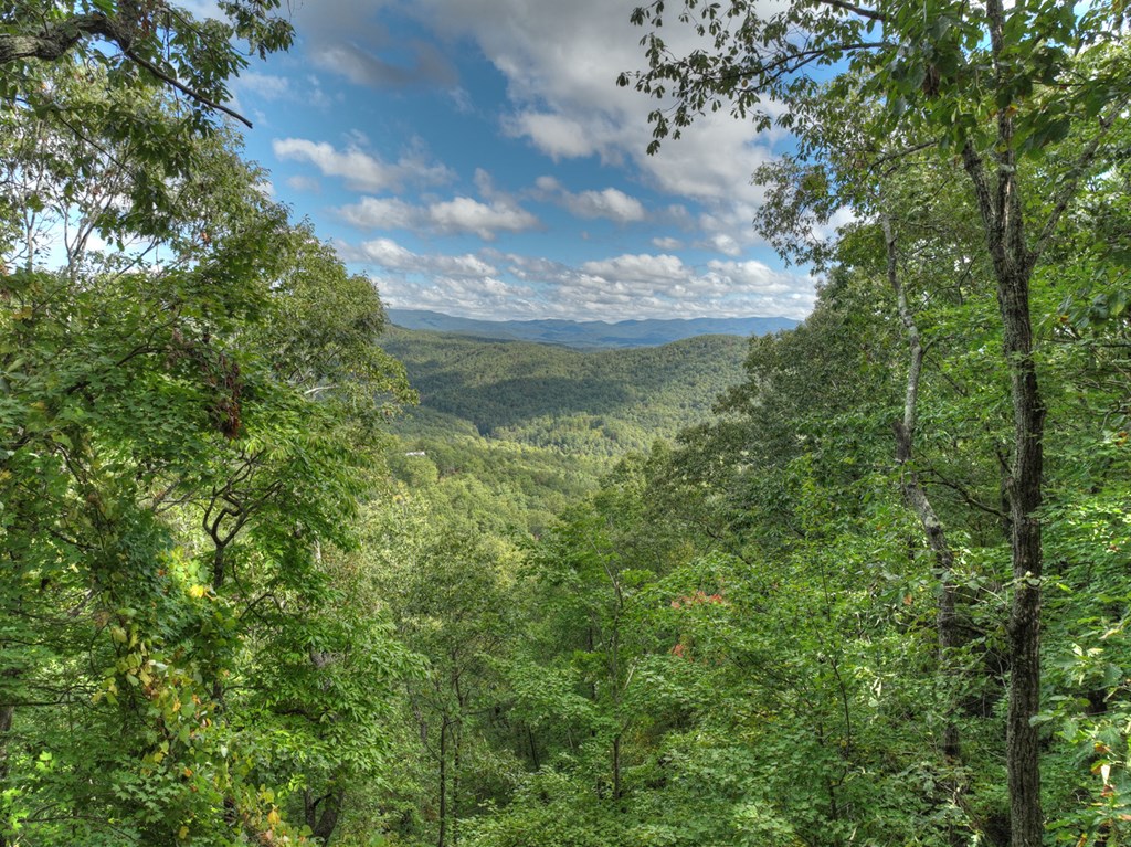 Lot 25 Utana Bluffs Trail