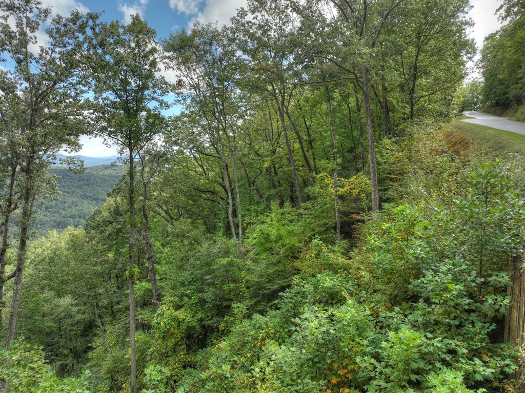 Lot 25 Utana Bluffs Trail