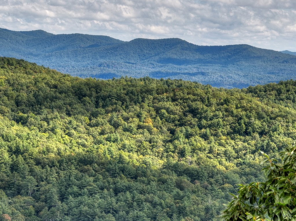 Lot 25 Utana Bluffs Trail