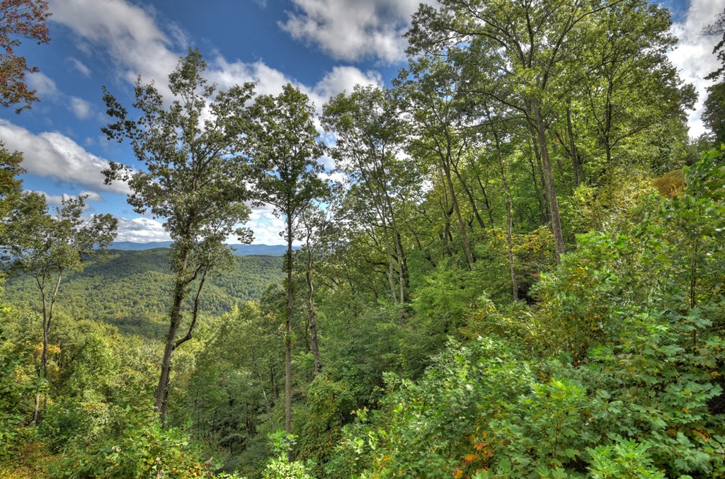 Lot 25 Utana Bluffs Trail
