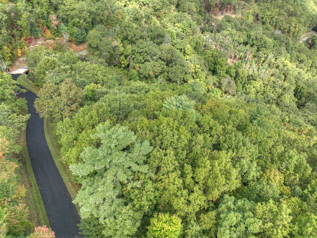 Lot 25 Utana Bluffs Trail