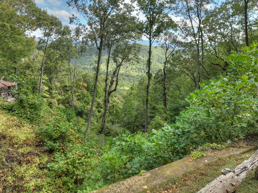 Lot 25 Utana Bluffs Trail