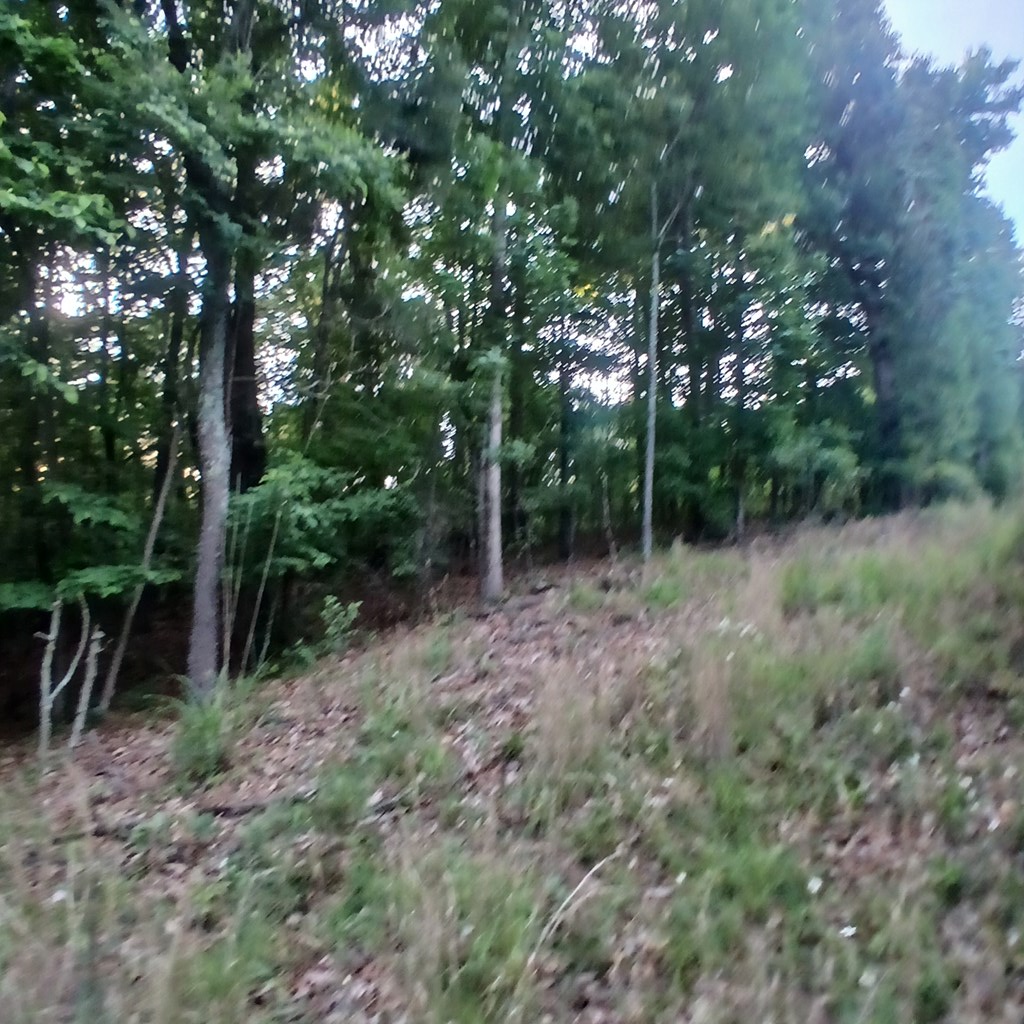 Tr. 2 Raven Cliff Road
