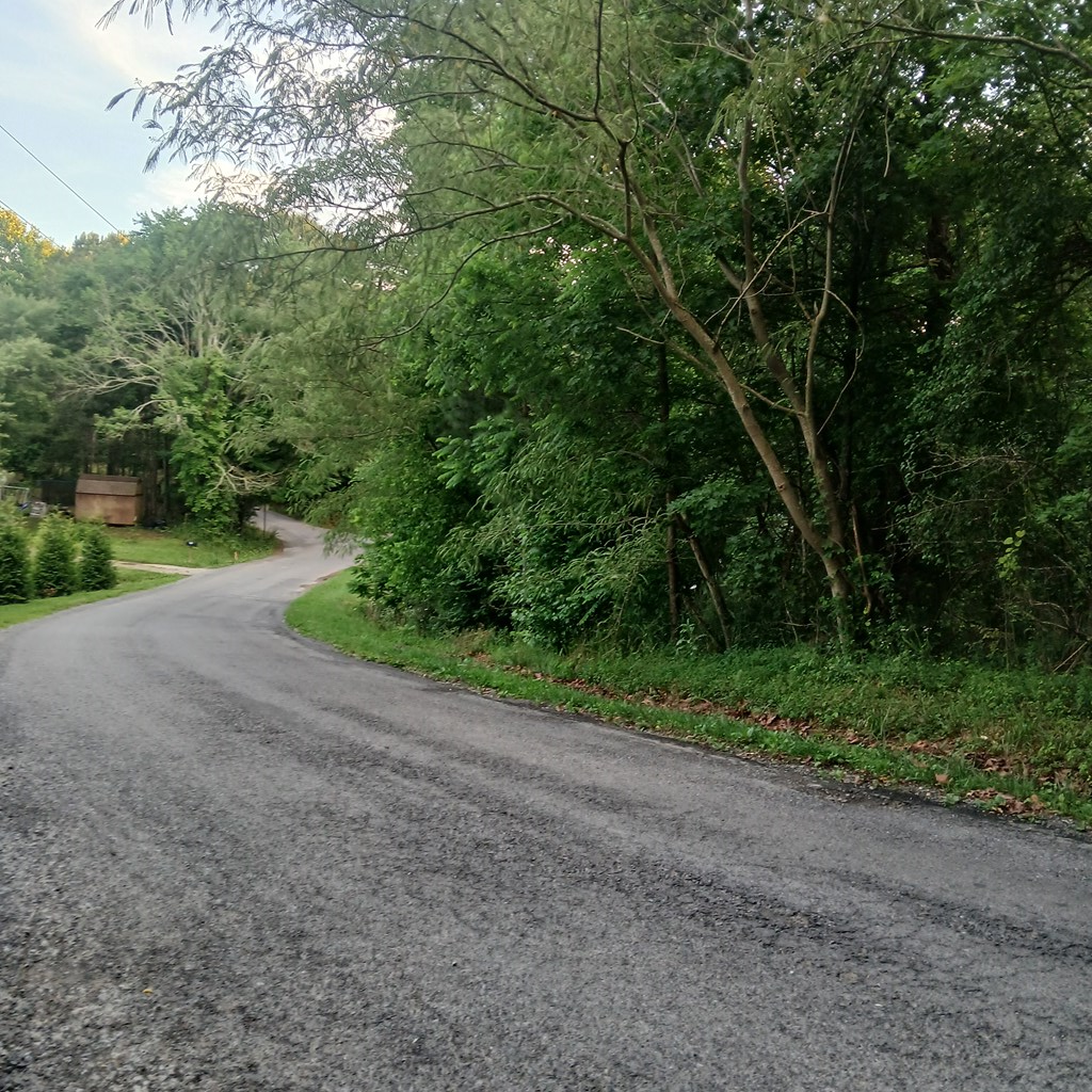 Tr. 2 Raven Cliff Road