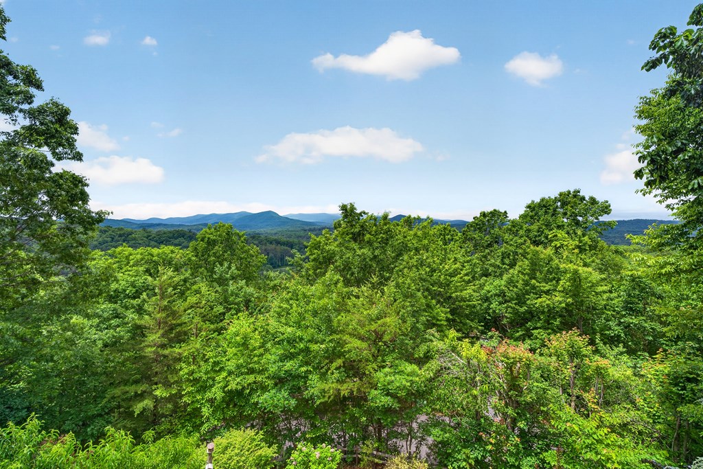 40 Foxfire Lane
