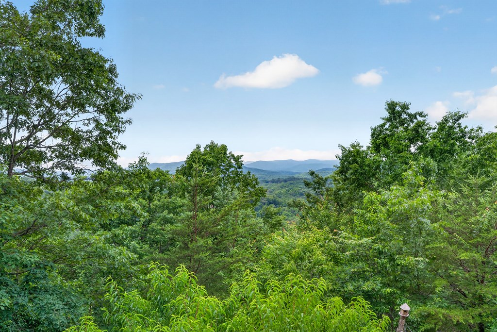 40 Foxfire Lane