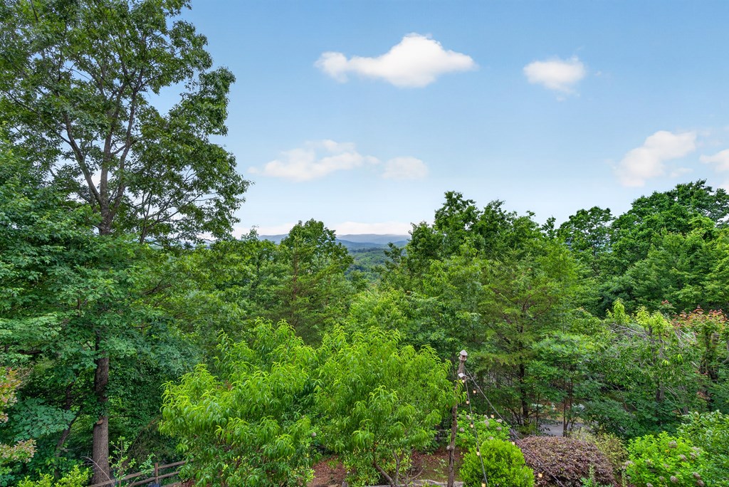 40 Foxfire Lane