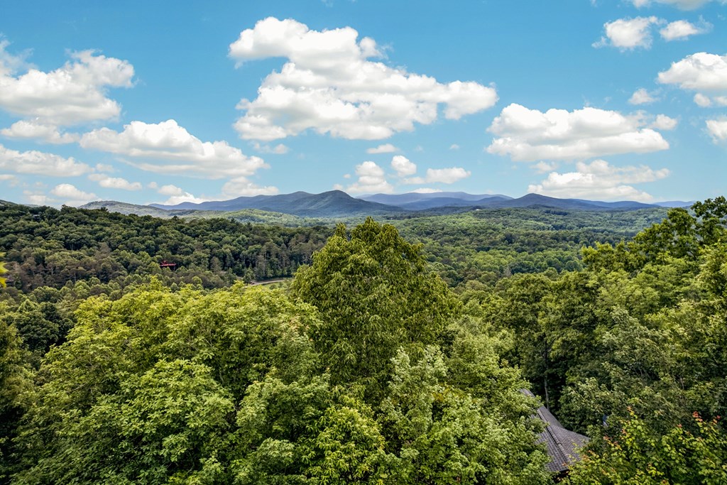 40 Foxfire Lane