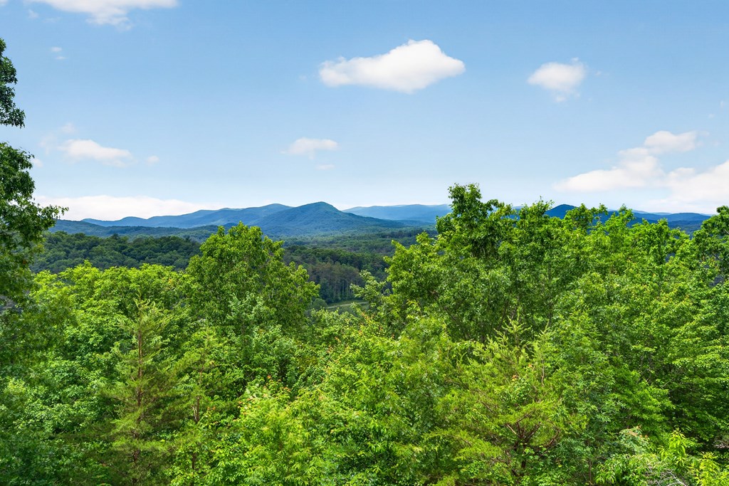 40 Foxfire Lane