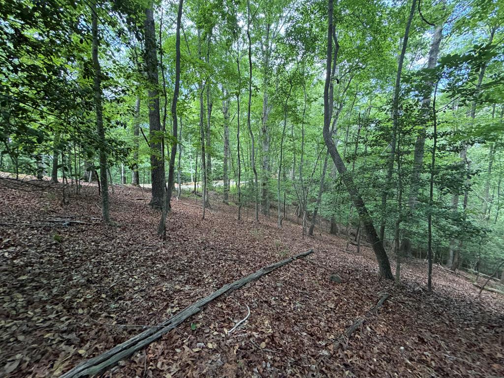 Lot 1049 Gateway Drive