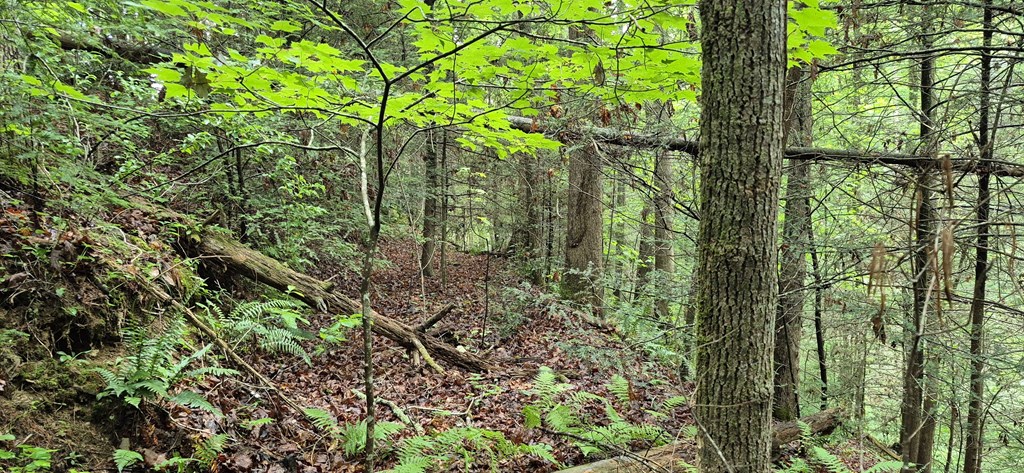 Lot 4 Roaring Forks Lane