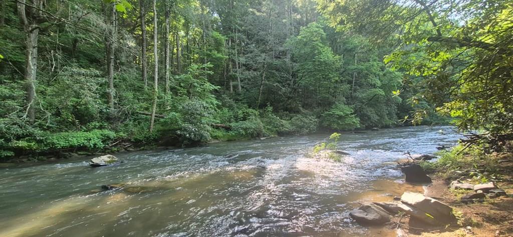 Lot 4 Roaring Forks Lane