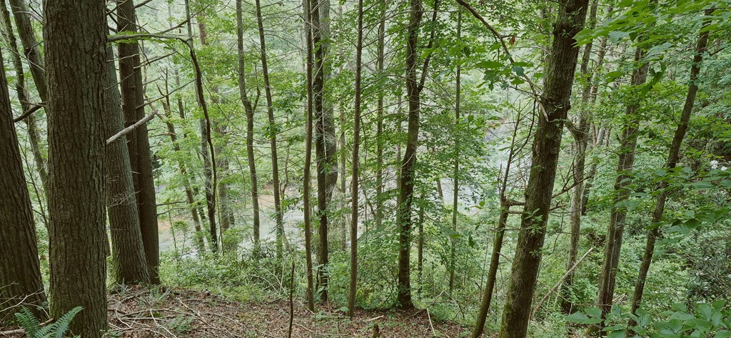 Lot 4 Roaring Forks Lane