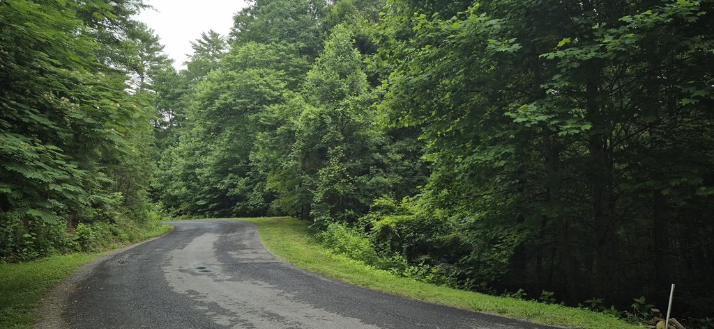 Lot 4 Roaring Forks Lane