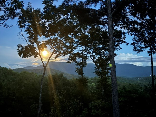 254 Leatherwood Mountain Road