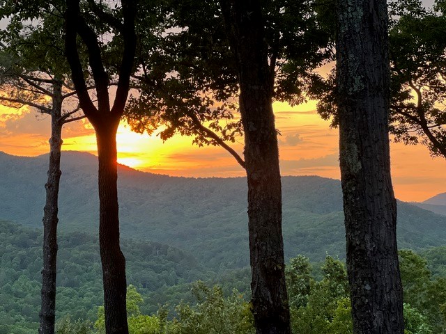 254 Leatherwood Mountain Road