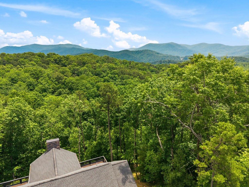 254 Leatherwood Mountain Road