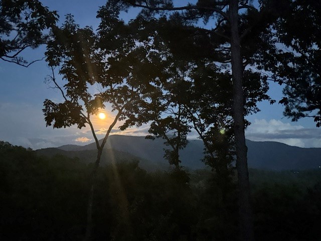 254 Leatherwood Mountain Road