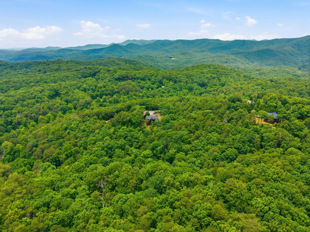 254 Leatherwood Mountain Road