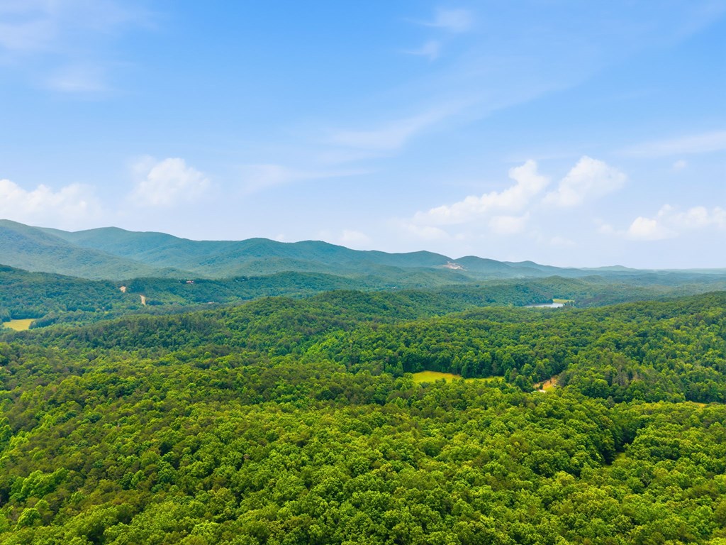 254 Leatherwood Mountain Road