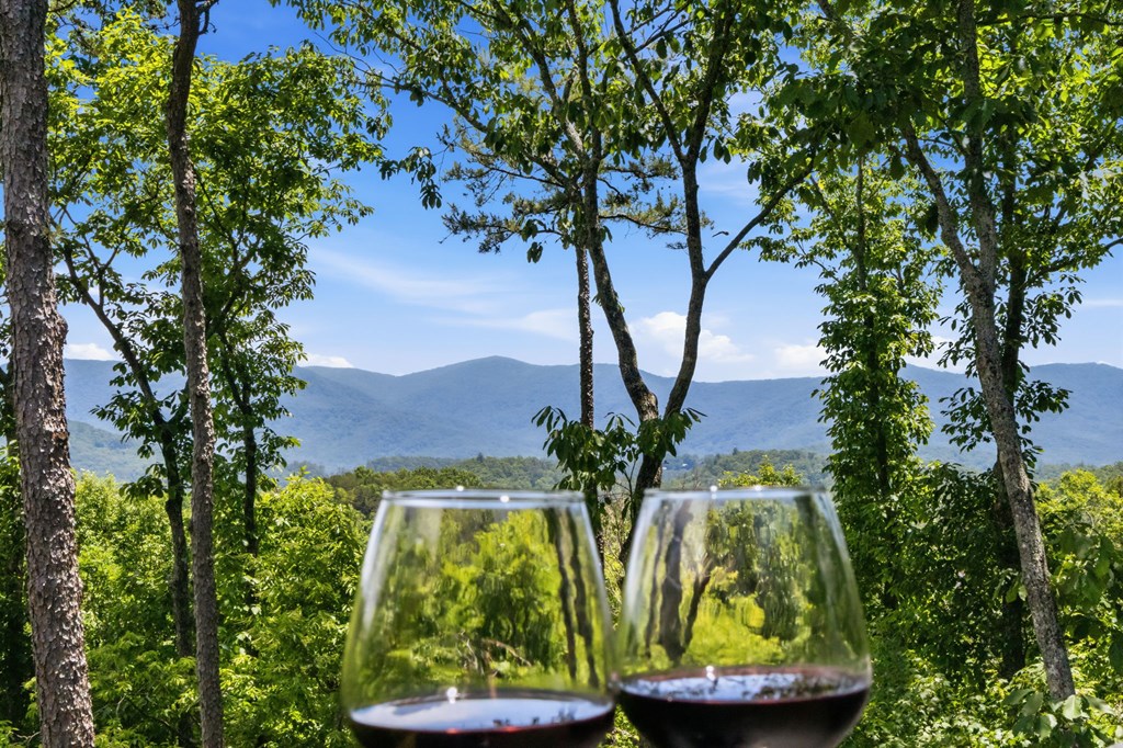 254 Leatherwood Mountain Road