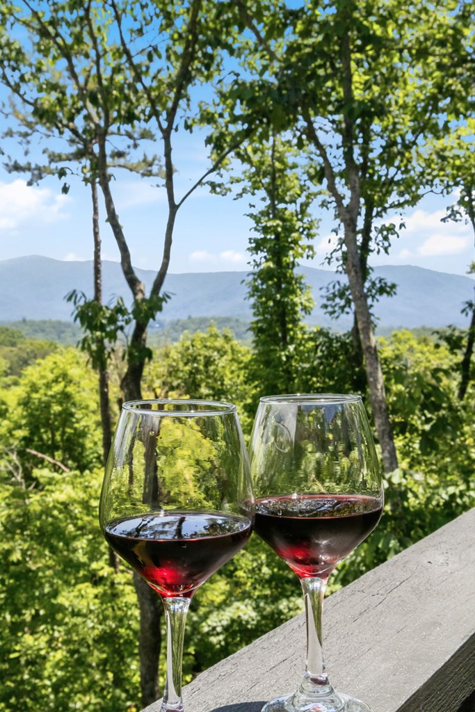 254 Leatherwood Mountain Road