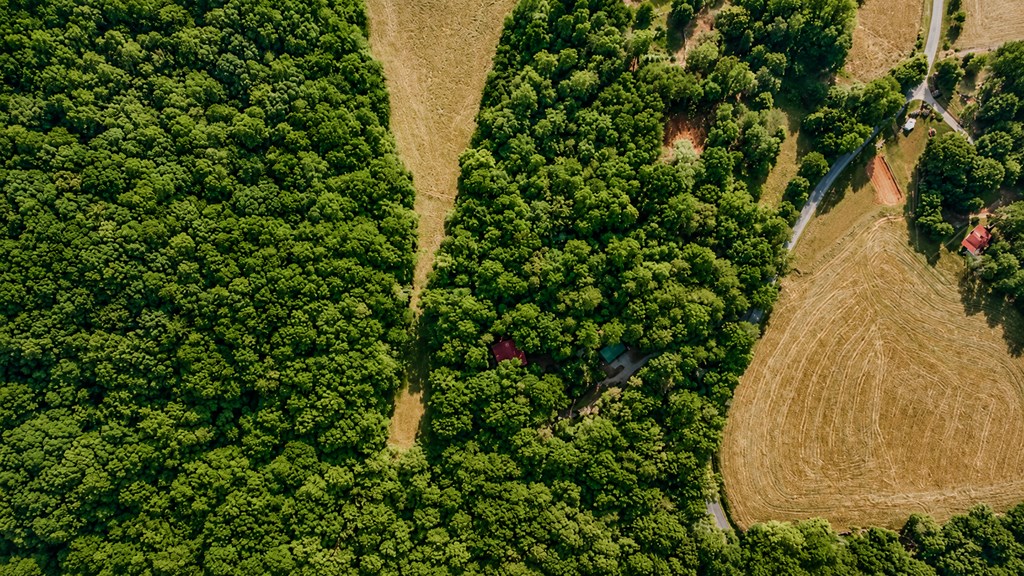 1564 Rackley Road