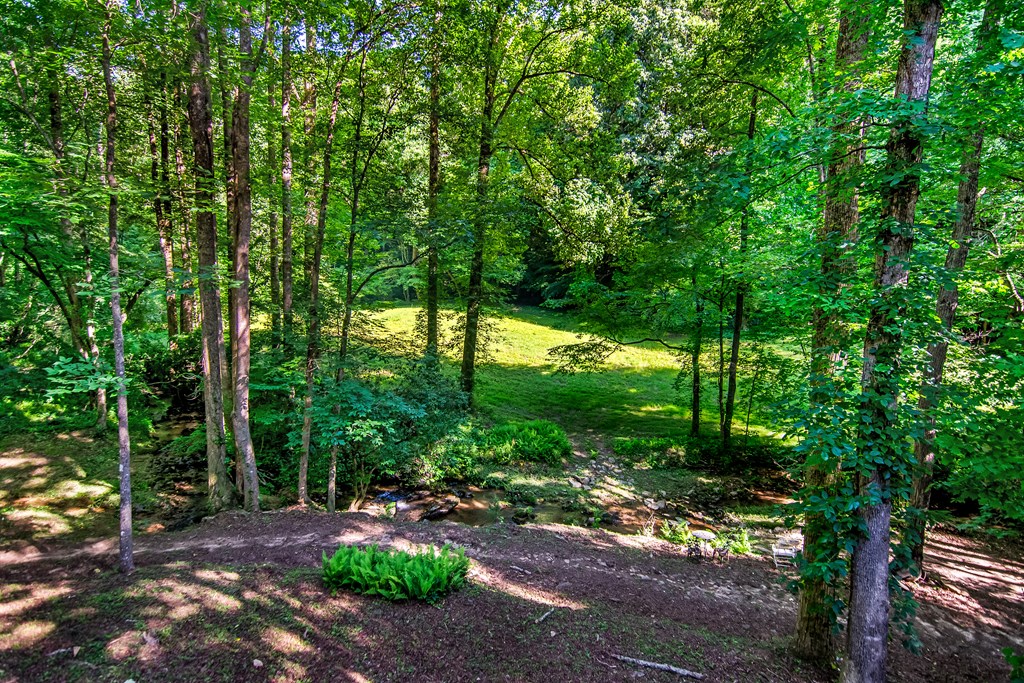 1564 Rackley Road