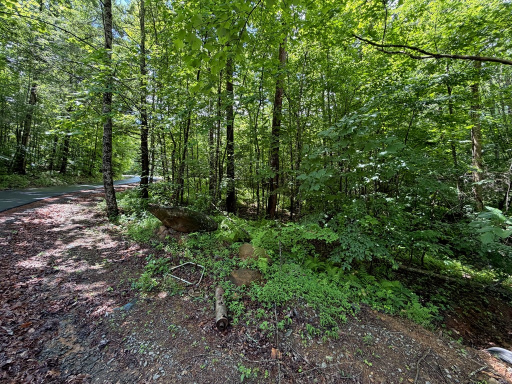 2.75AC Quail Ridge Road