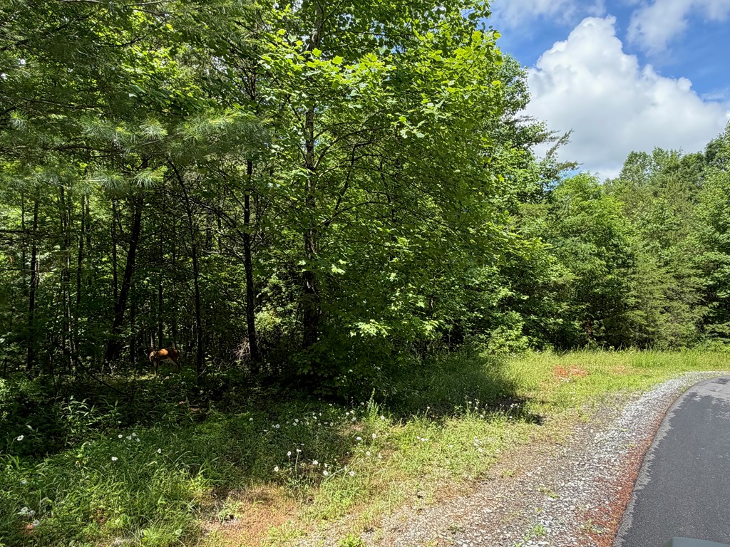 2.75AC Quail Ridge Road