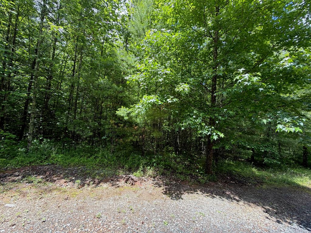 2.75AC Quail Ridge Road
