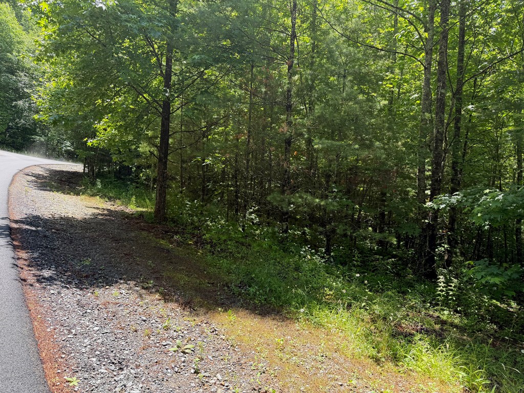 2.75AC Quail Ridge Road