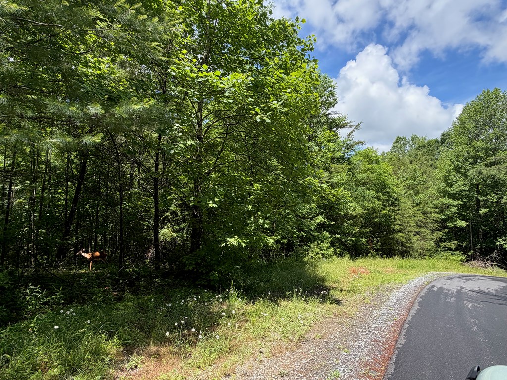2.75AC Quail Ridge Road