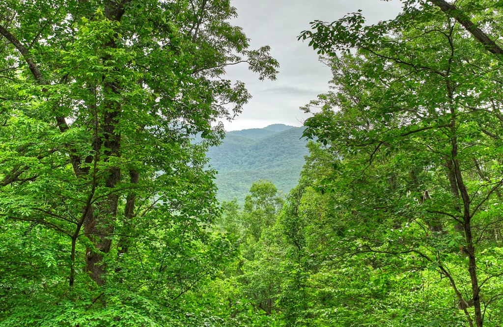 415 Walnut Mountain Road